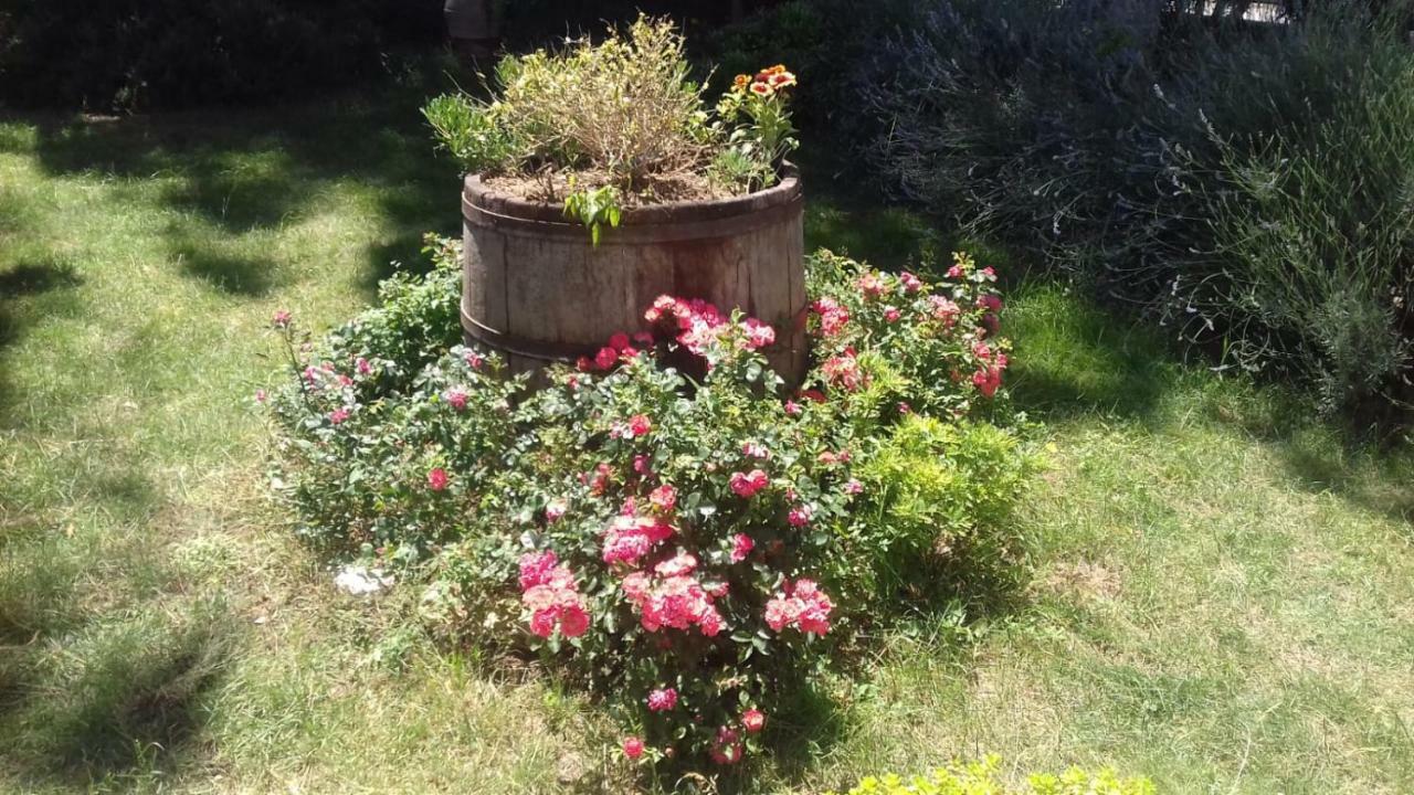 B&B Casa Losea Castello delle Forme Luaran gambar